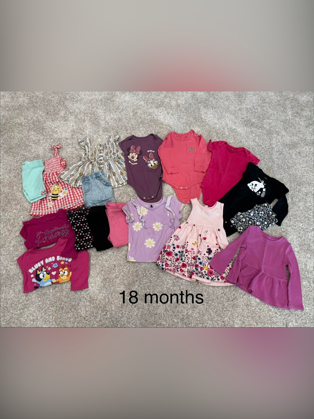 Toddler Girls 18M Mixed Tops & Dress Bundle